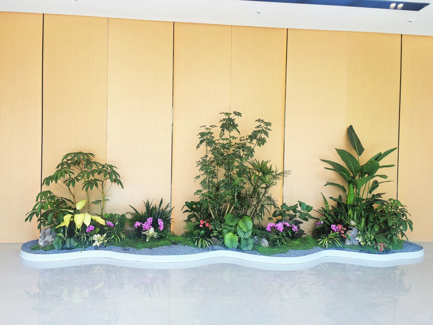 专业的鄞州植物租摆,为空间注入生机与自然之美!